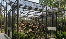 Zoological Safari Park Construction Services in Thailand