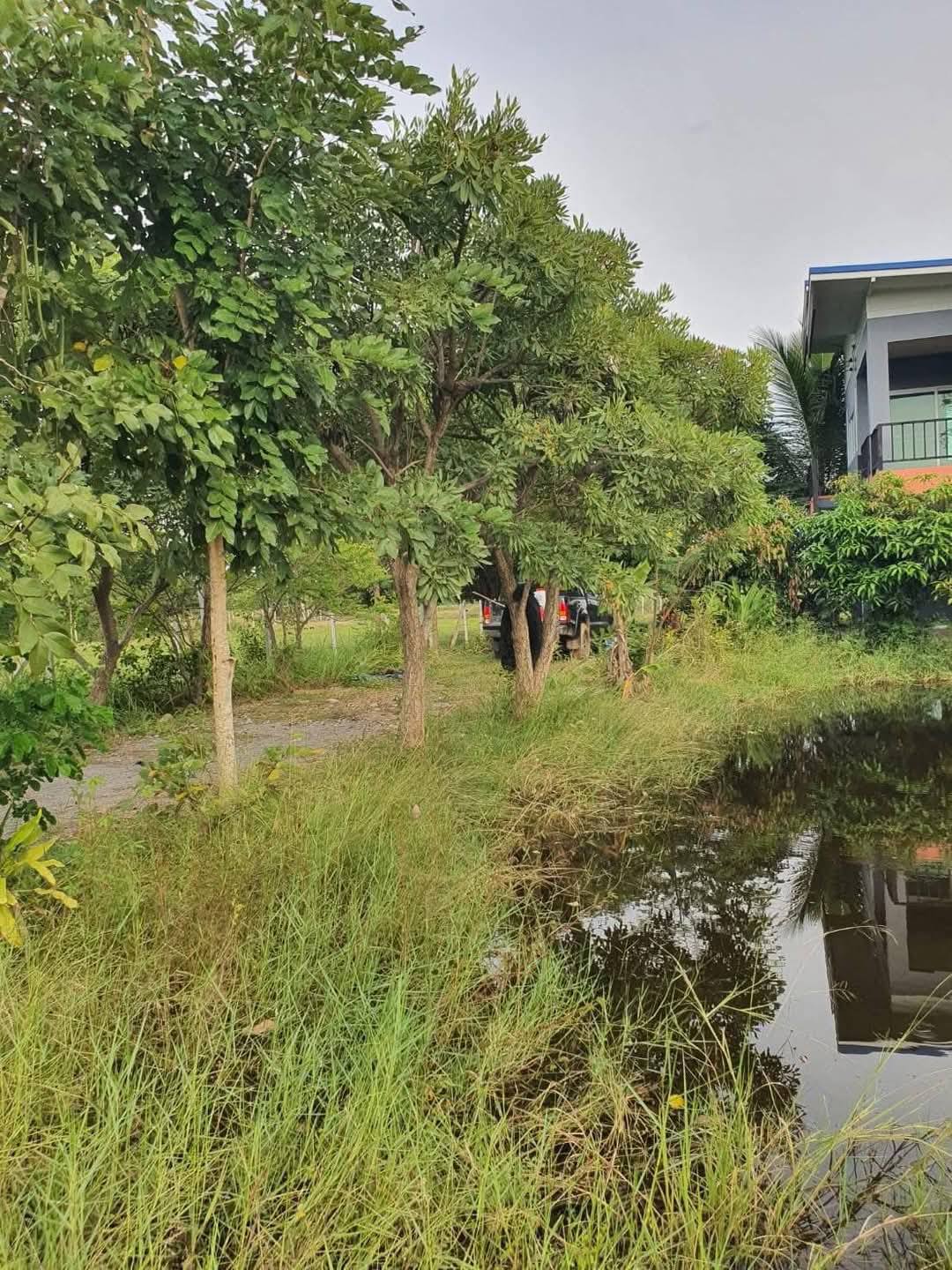 House with Land For Sale