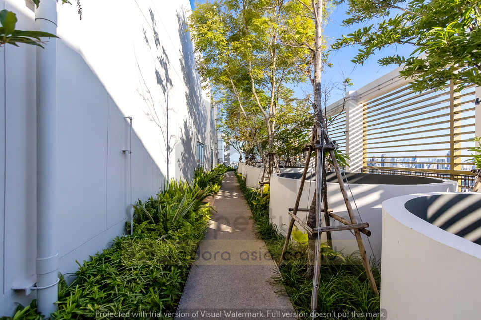 One Bedroom Condo For Rent