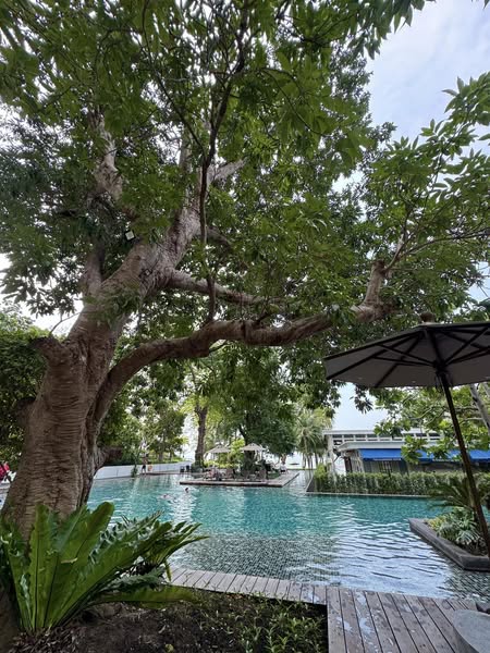 One Bedroom Condo For Rent