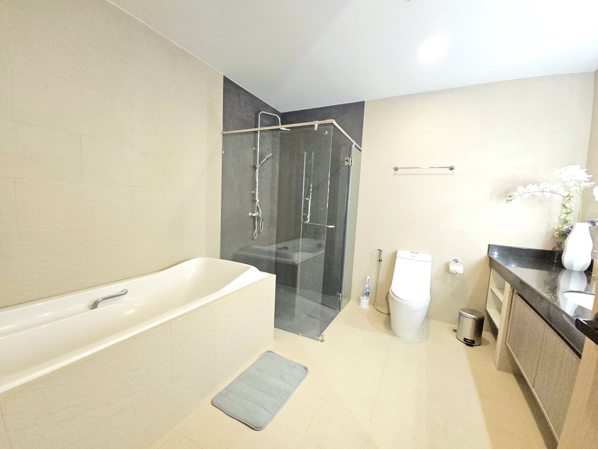 Two Bed Room Apartment For Rent