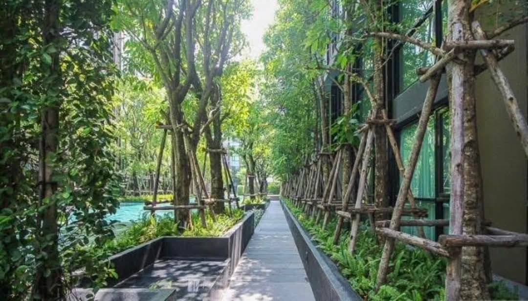 Two Bed Room Condo For Rent