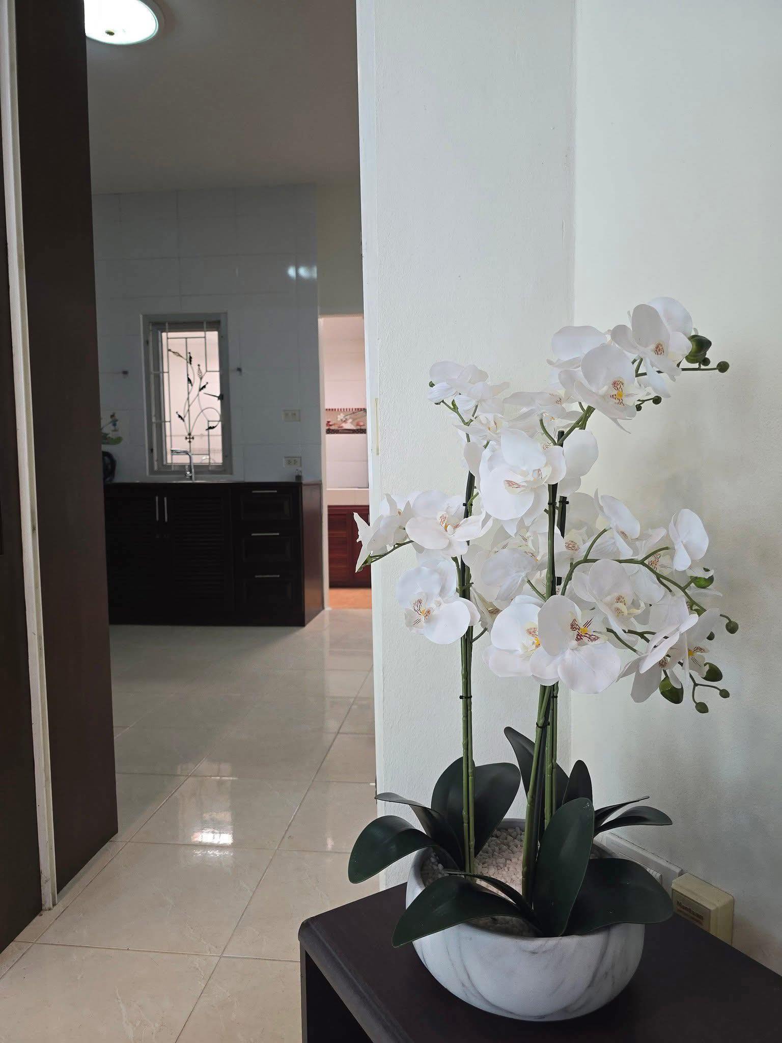 Detached House For Rent