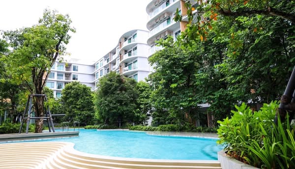 One Bedroom Condo For Rent