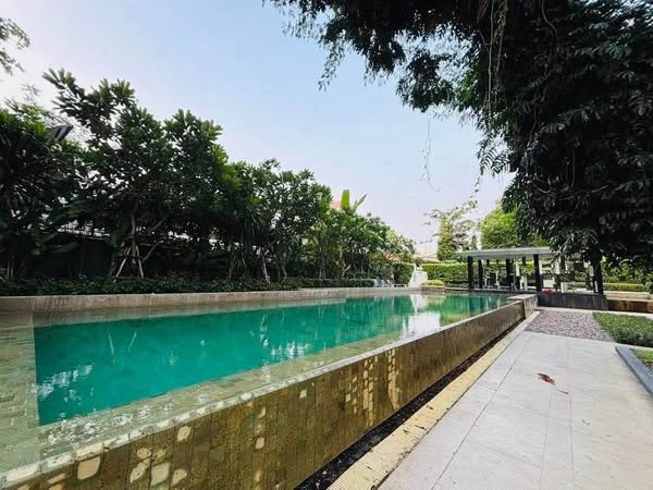 Two Bed Room Apartment For Rent