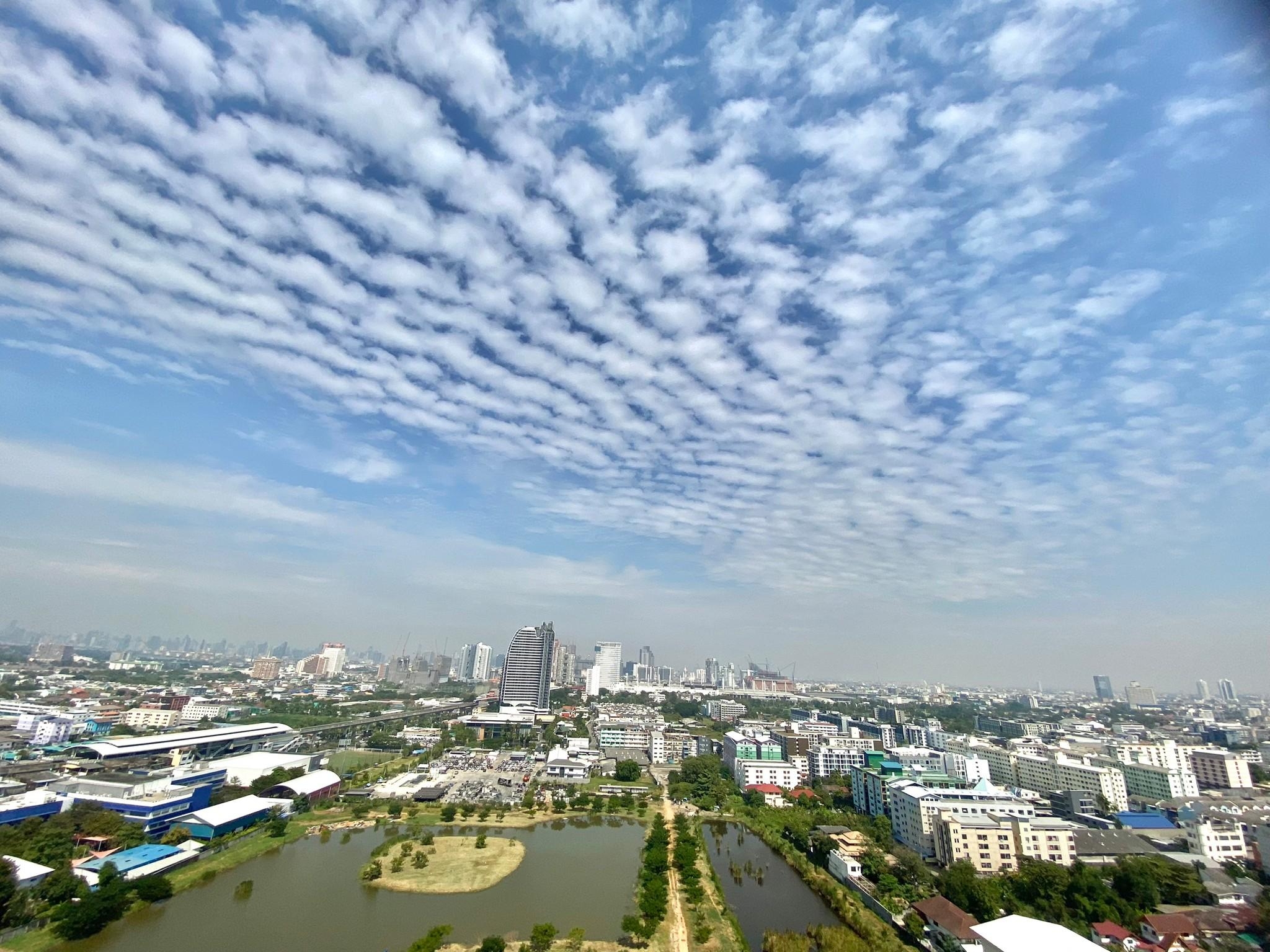 One Bedroom Condo For Rent