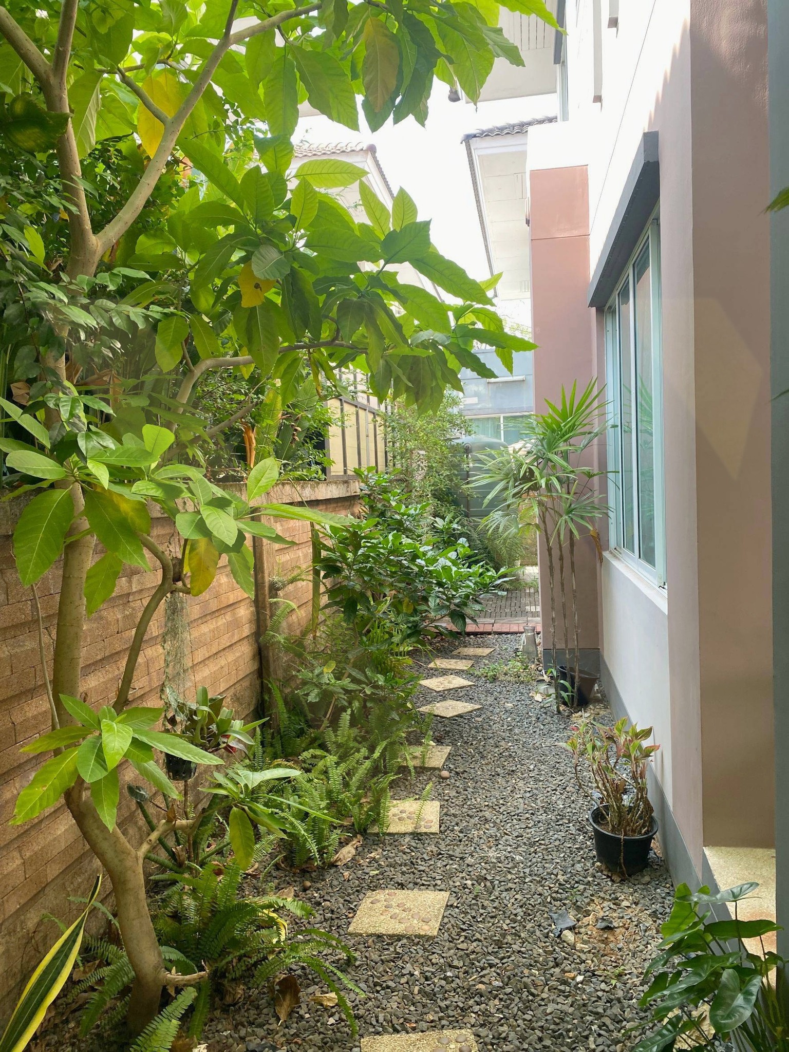 House For Rent
