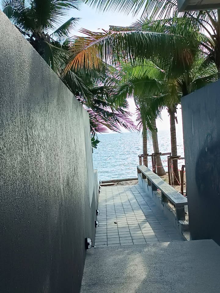 Large Three Bed Room Apartment For Sale