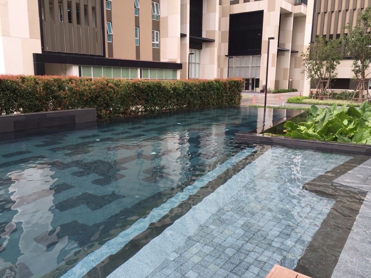 One Bedroom Condo For Rent
