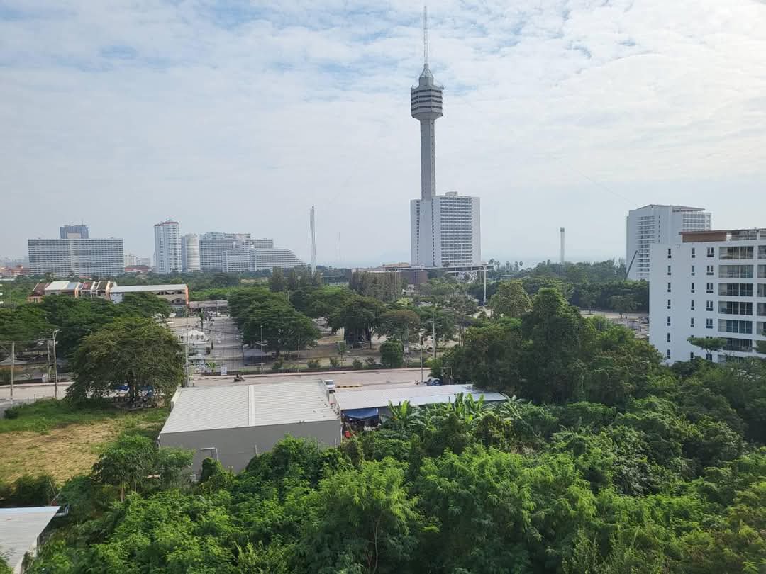 Large One Bedroom Apartment For Rent