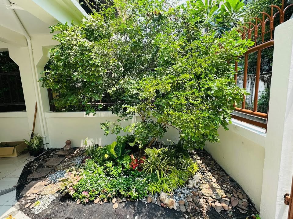 Luxury Detached House For Rent