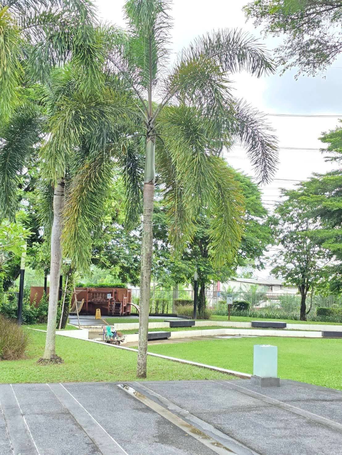 Pool Villa For Rent