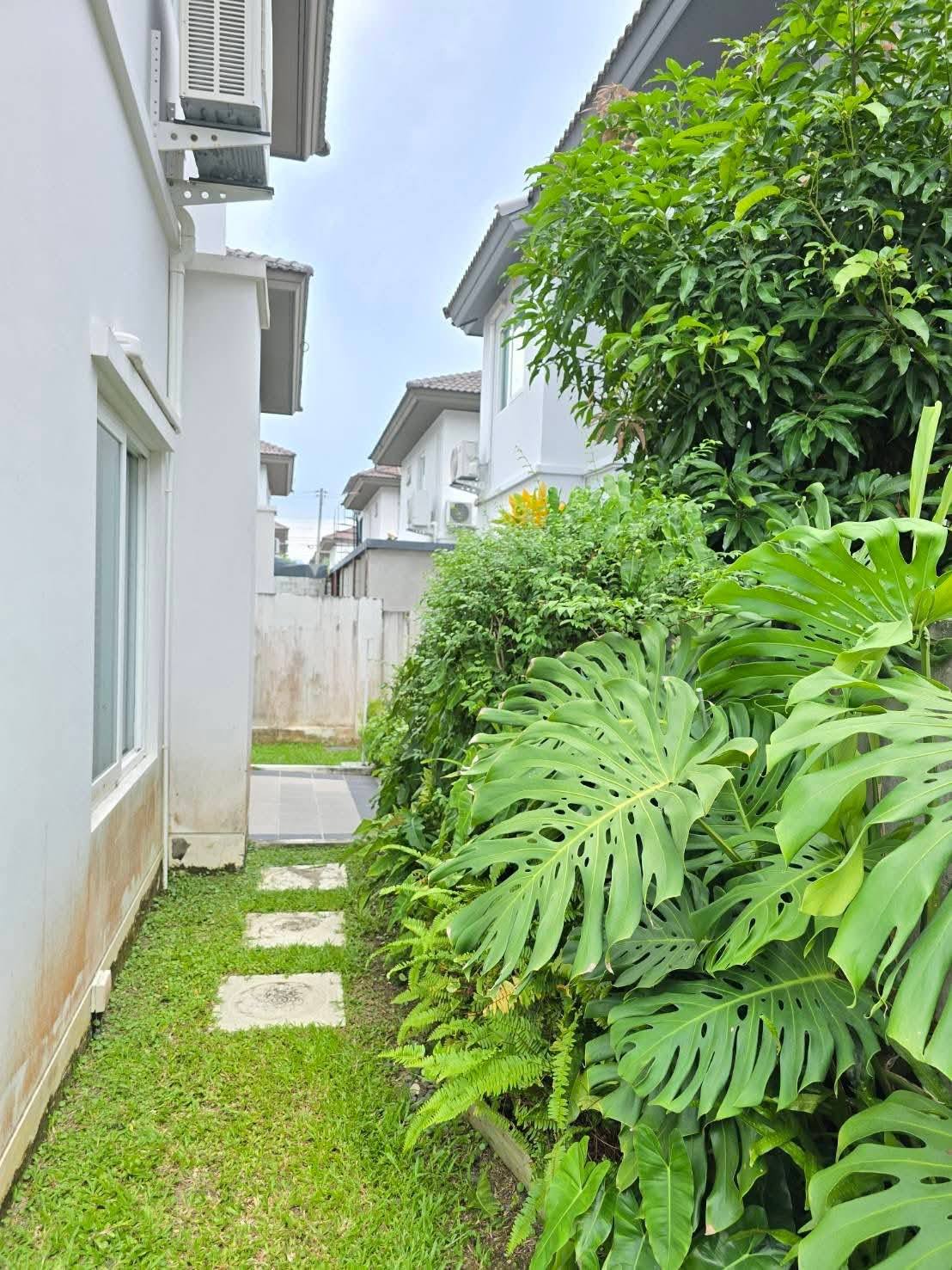 Pool Villa For Rent
