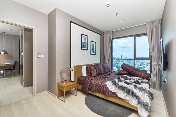 Two Bed Room Apartment For Rent