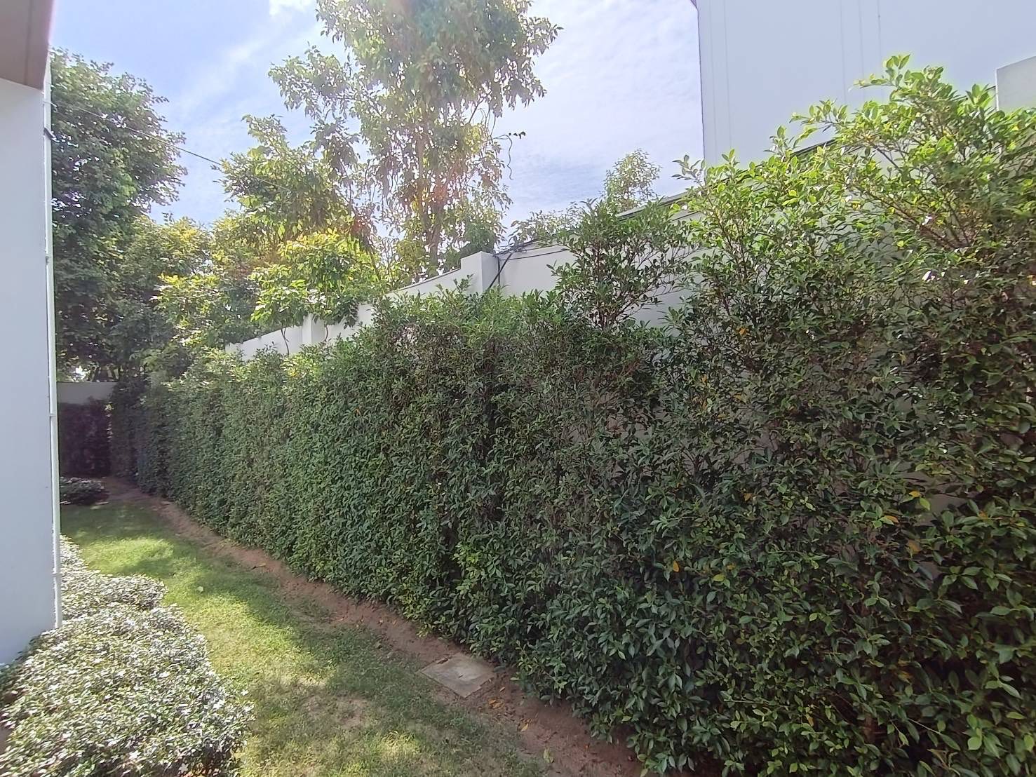 Detached House For Rent