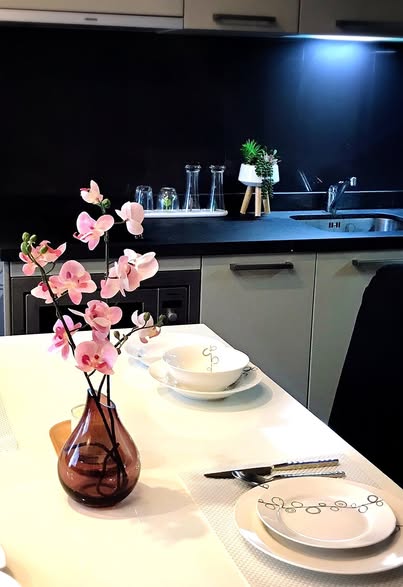 One Bedroom Condo For Rent