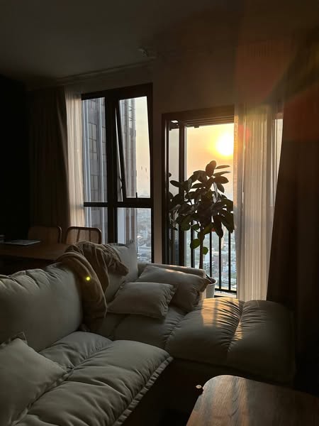 Two Bed Room Condo For Rent