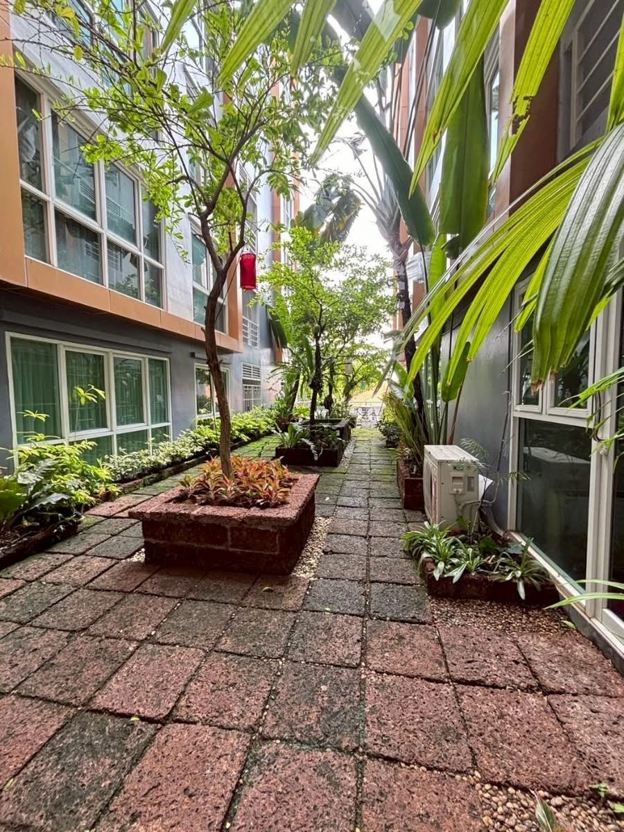 One Bedroom Condo For Rent