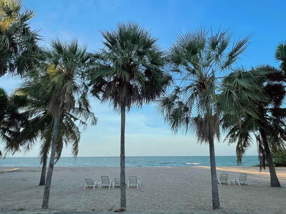 Two Bedroom Condo For Sale