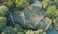 Zoological Safari Park Construction Services in Thailand
