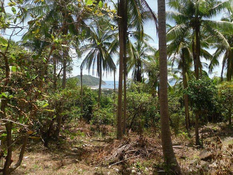 Land for Sale with Seaview