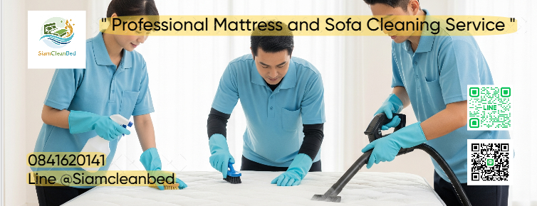 Mattress Sofa Rug Curtain Cleaning