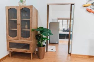 Independent Villa For Rent