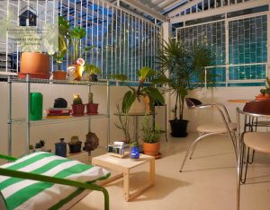 Two Bed Room Apartment For Rent