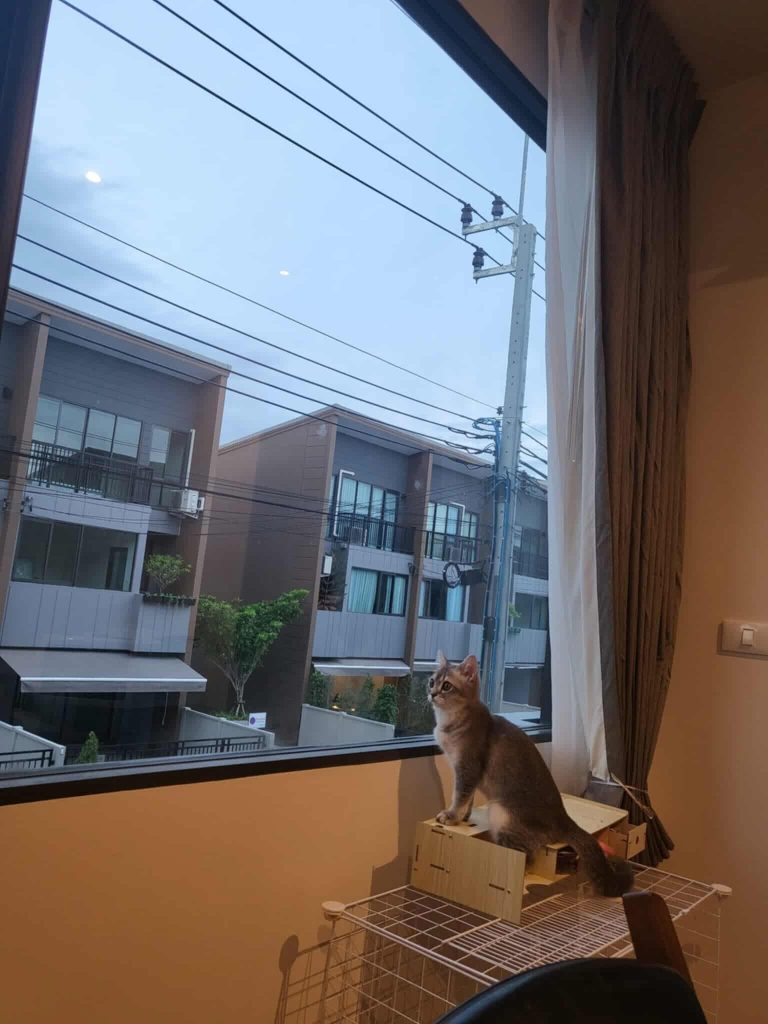 Townhouse For Sale