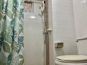 One Bedroom Condo For Rent